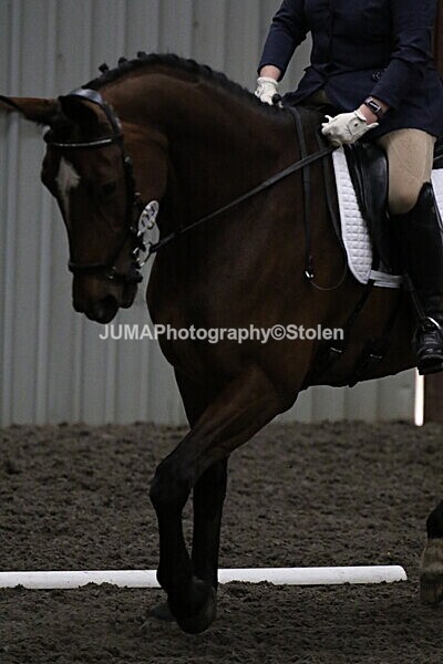 SIAL4402 - CAbin Dressage 5th july 2025