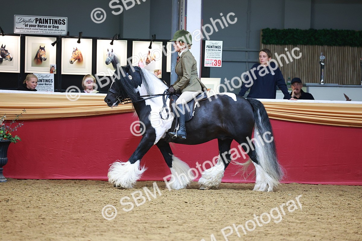 SBM_06268 - Class 12R - Ridden Pre-Vet