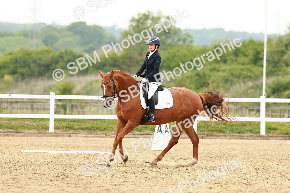 SBM_001352 - Class 7 - Novice 5