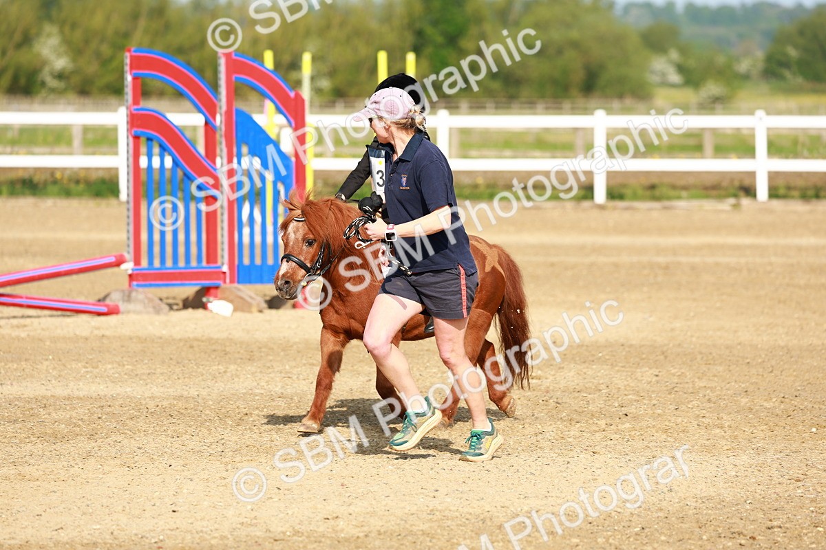 SBM_006272 - Class 1 - 40cm