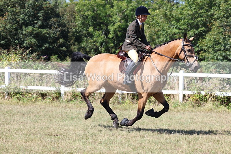 3E7A6276 - Class 6: Working Hunter 1m