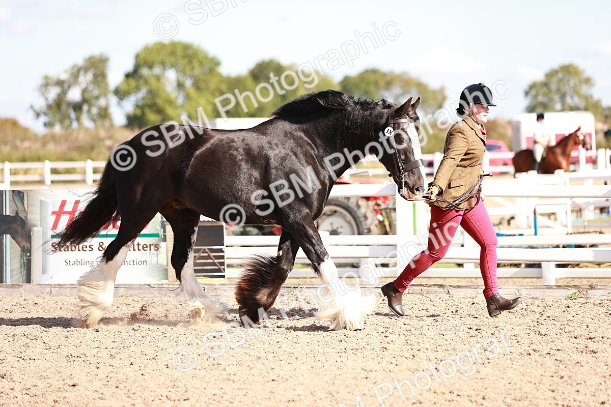 SBM_12584 - Class 404 - IH Traditional - Native Cob
