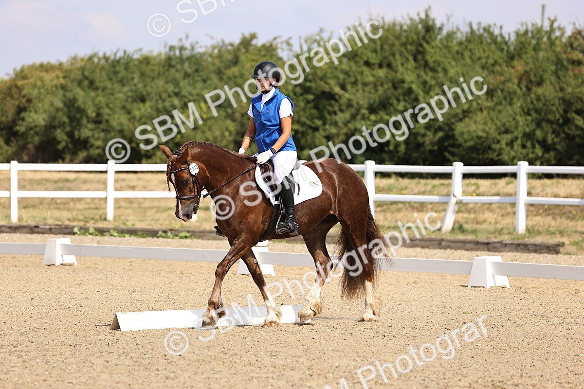 SBM_006539 - Intro 3 - 9.46-10.46