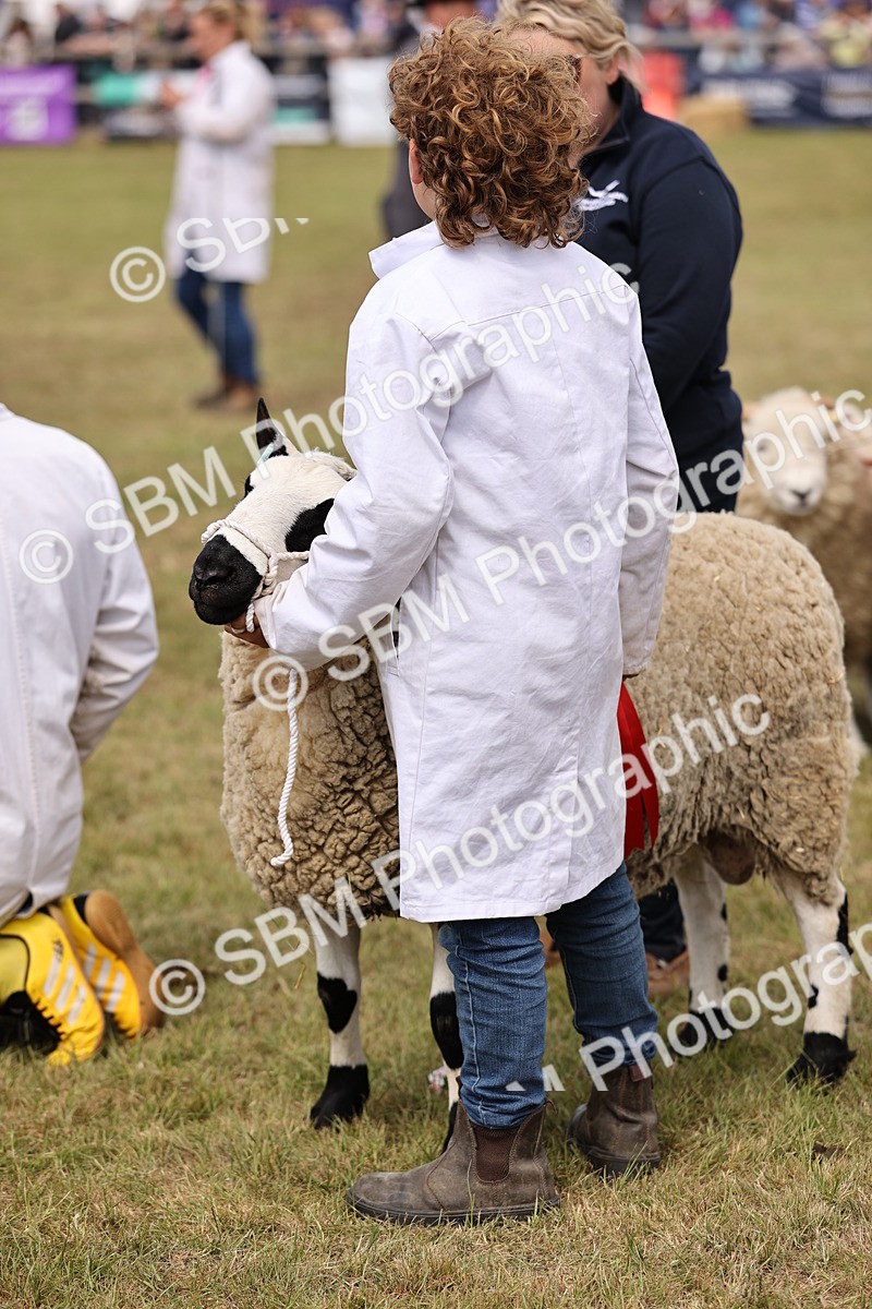 SBM_16914 - Grand Parade