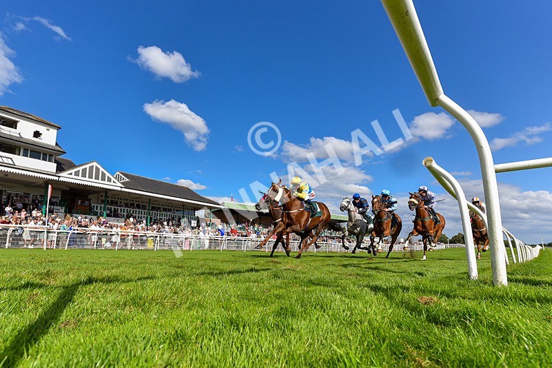 060824-Race 5-Jamih-2 - Race 5