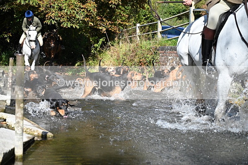 WJ7_5959 - Hounds Water Crossing