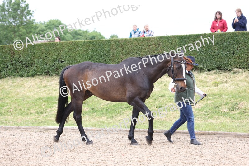 20250524-0623 - Class 7 - Veteran