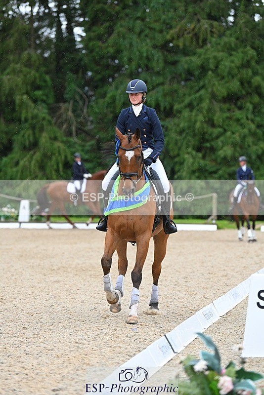 230813-163018-08336 - Medium Bronze Presentations