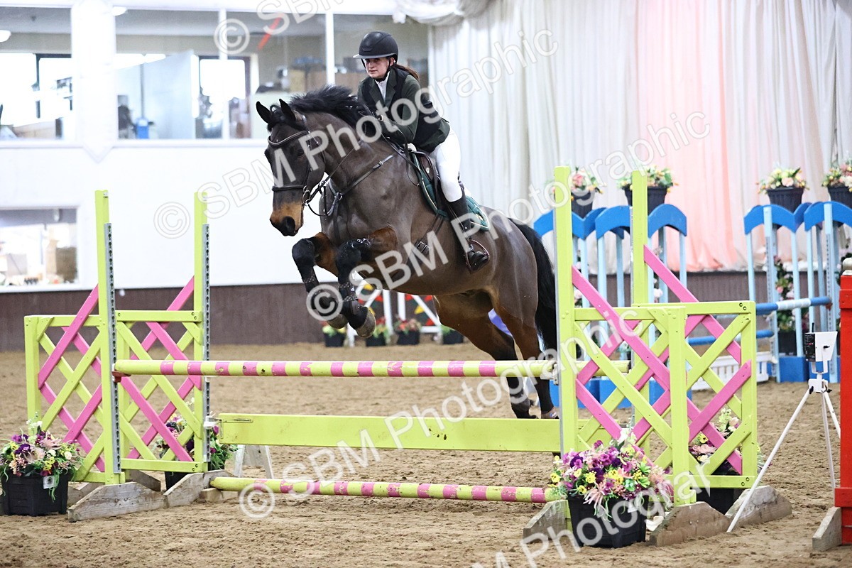 SBM_002006 - Class 8 - Senior British Novice - 90cm