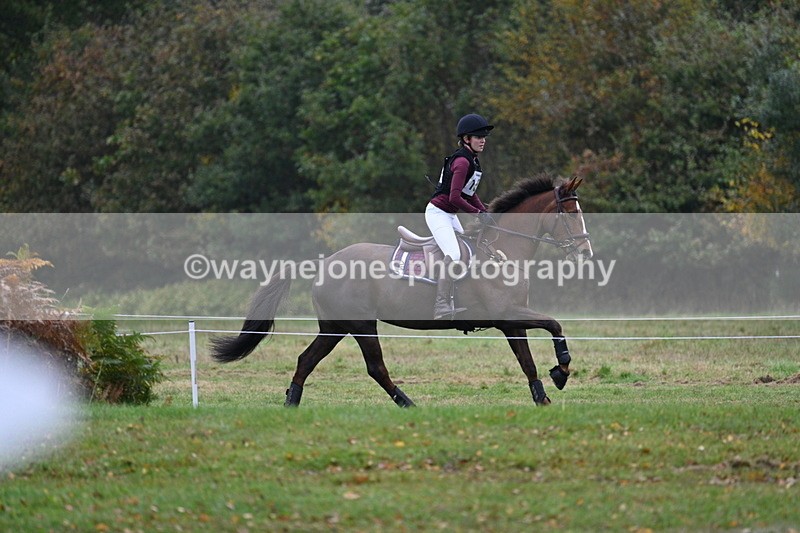 WJ7_1481 - 80cm Cam 2 Water Time 11:47 to 12:17