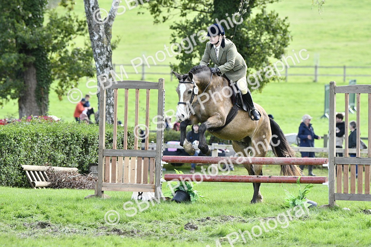 SBM_45760 - S33 - Working Hunter Pony