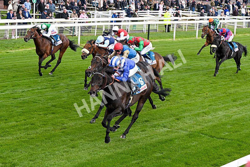 130526-Race 4-Elmonjed-0242 - Race 4 3.30pm Go Local Stores Minster Stakes