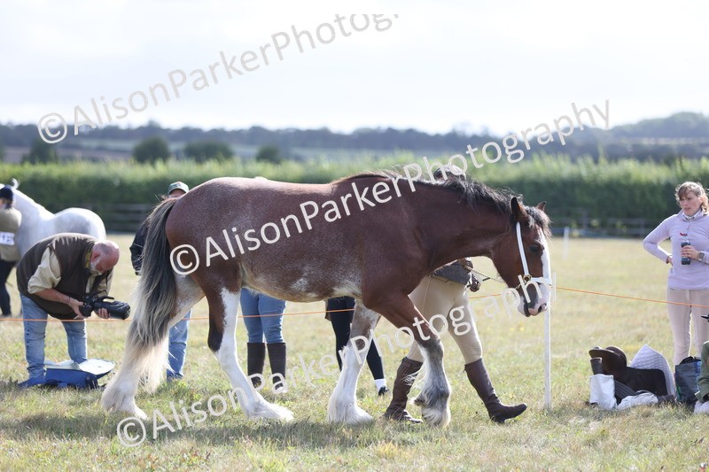 20250831-1496 - Class 21 - Inhand Open