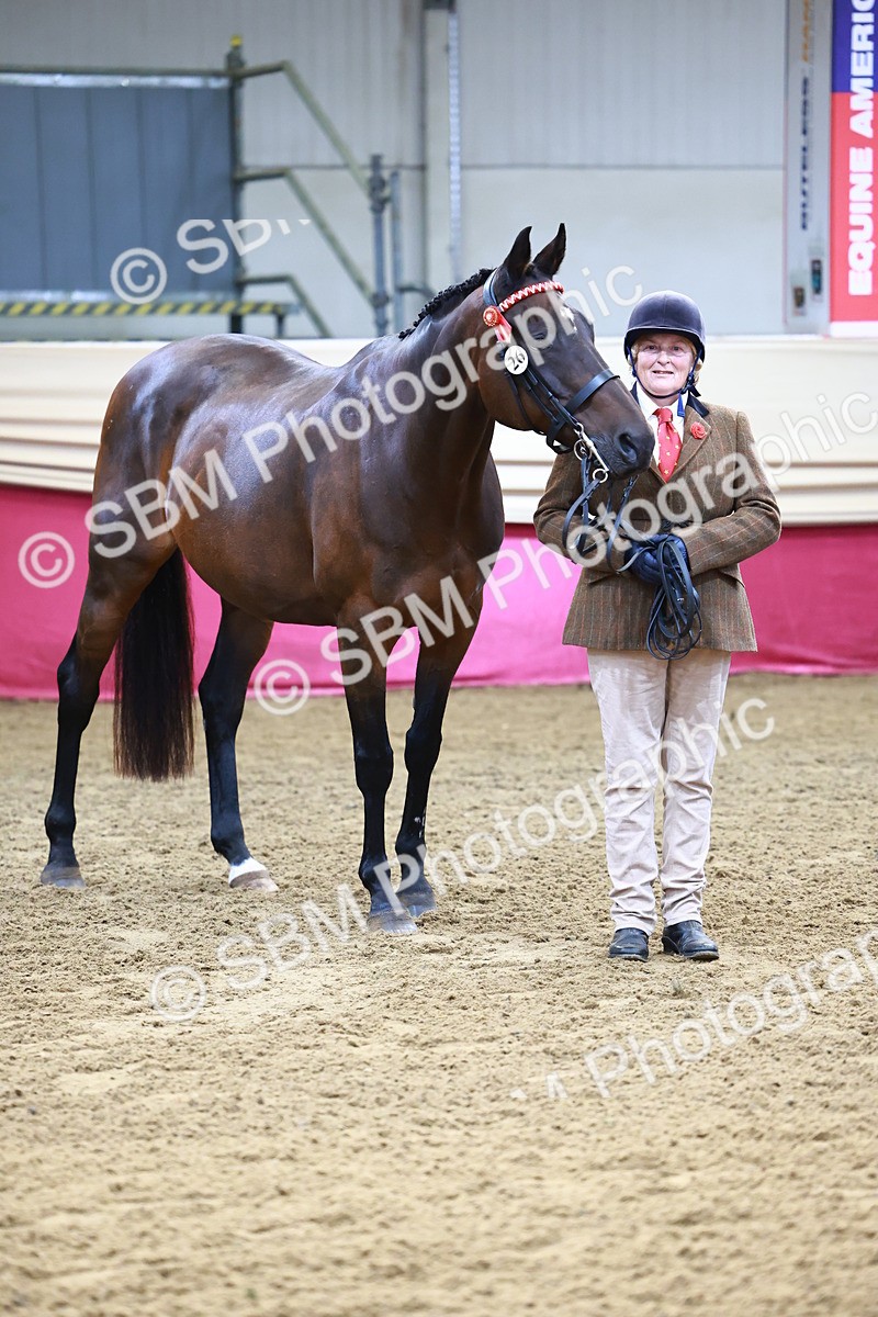 SBM_21811 - Class 901 - Supreme Final - IH  Diamond