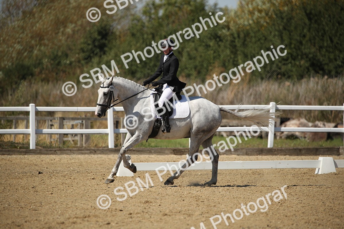 SBM_005155 - Class 11 - Novice 5 - 11.41-12.58