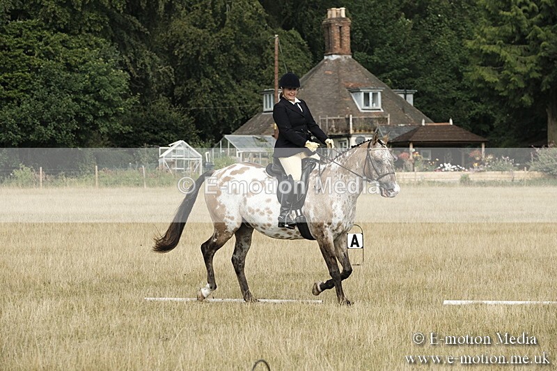 _PJP5705 - Dressage Classes BVRC Show 2018