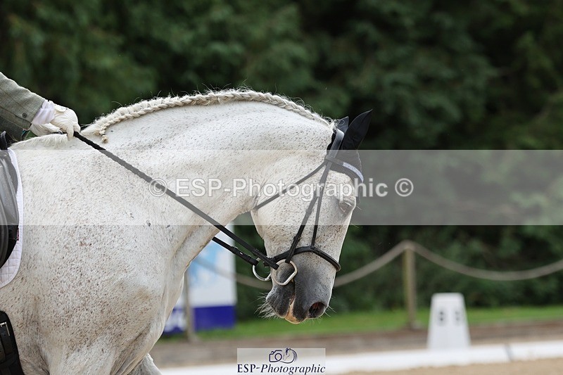 240810-144017-03708 - 169-Alison.Zuend-Il.Danubio