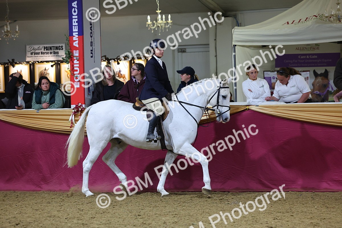 0B8A4672 - Class R Working Veteran Champ