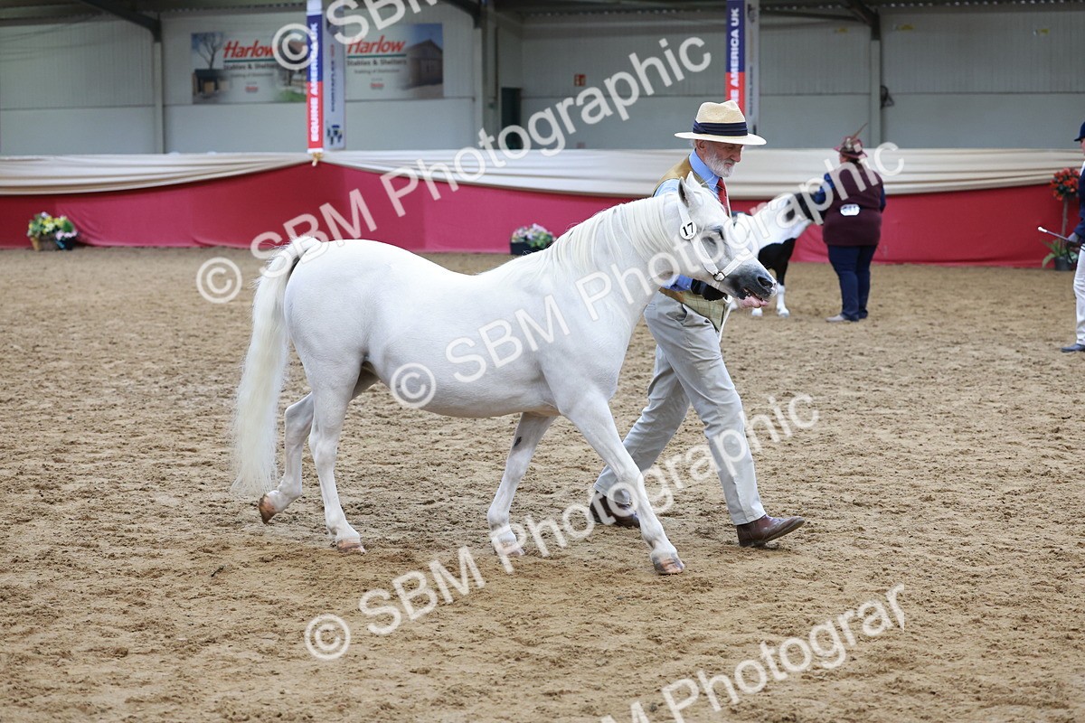 SBM_17359 - Class 951 - M&M IH Supreme Final