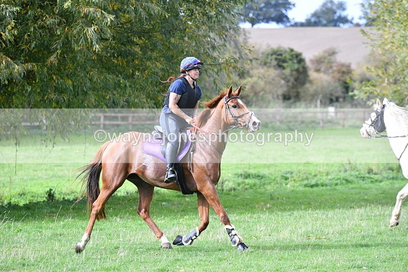 WJ5_9953 - Time 13:25 to 13:58