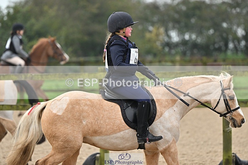 241110-100142-00165 - 40cm Showjumping