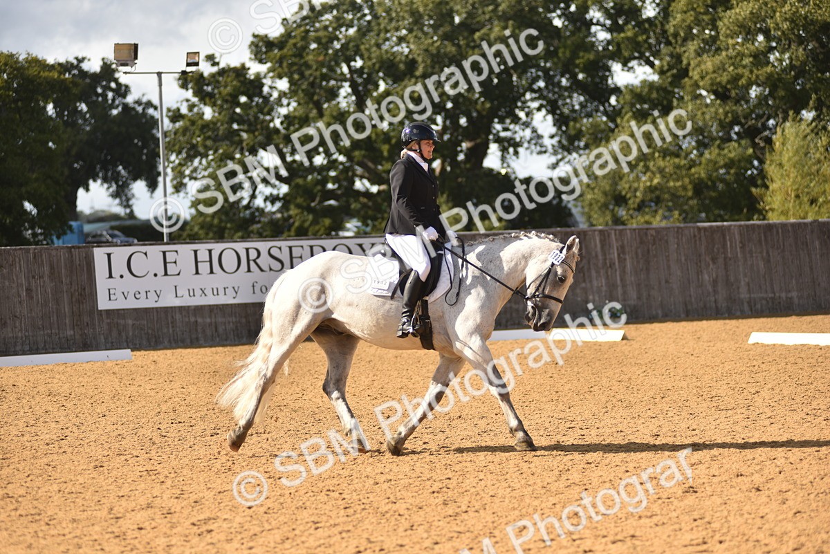 SBM_24327 - D4 - Small Tour Championship Intro 4