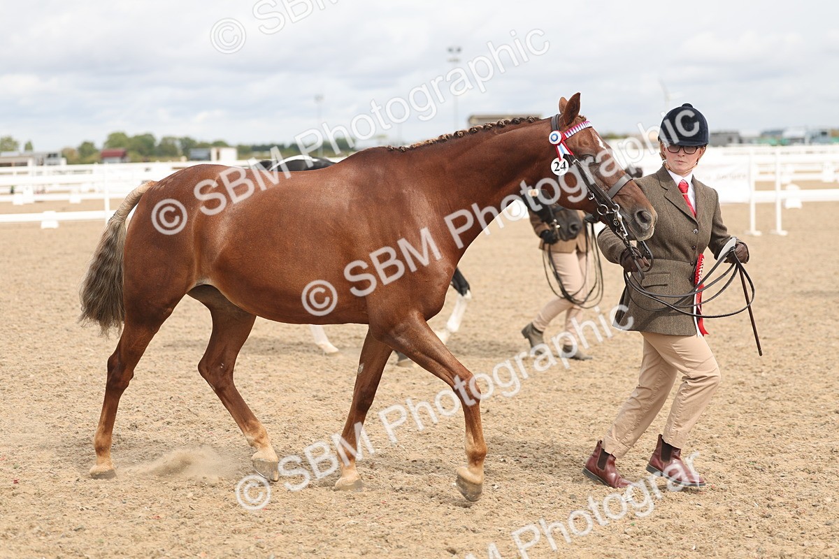 SBM_05044 - Class 20 - IH Veteran