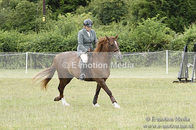 BVR160717-357 - Ring 3 BVRC Show 16/07/17