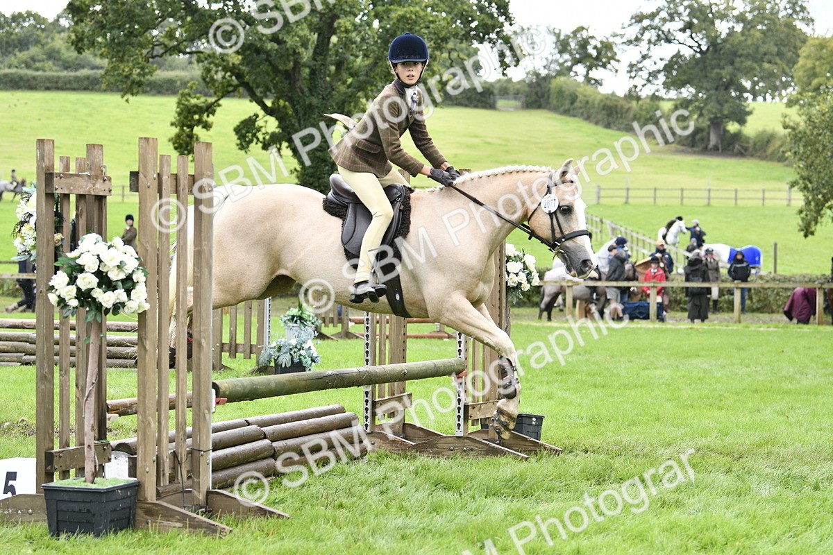 SBM_45595 - S33 - Working Hunter Pony