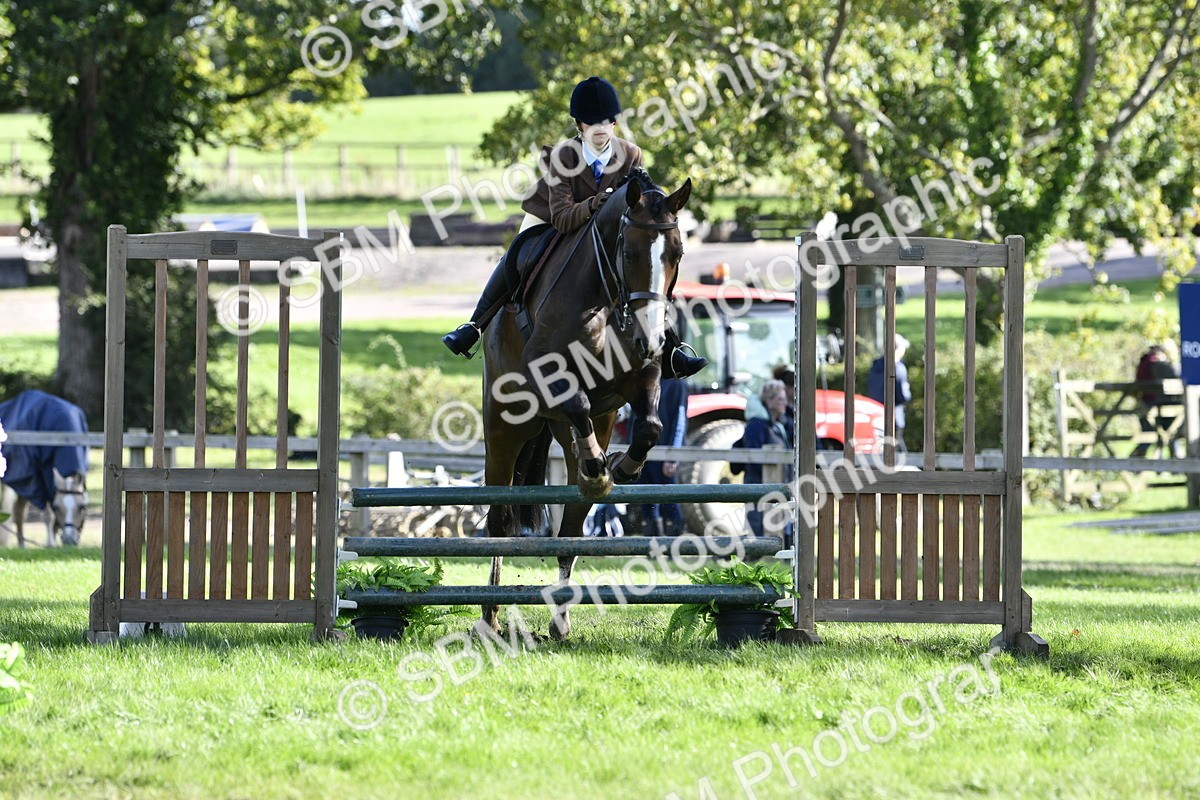 SBM_50001 - S34 - Novice & Newcomers Working Hunter