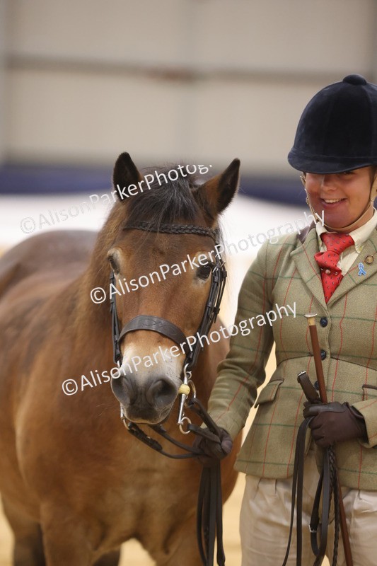 20260913-1062 - Class 109 - Bred On Exmoor In Hand