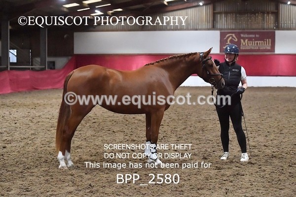 BPP_2580 - LOOSE JUMPING / SPSS