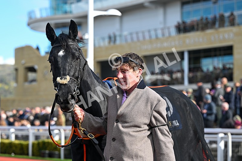 251025-Race 2-Minella Supreme-7216 - Race 2