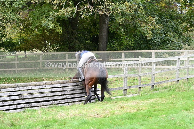 WJ7_4719 - Camera 1 Line 3