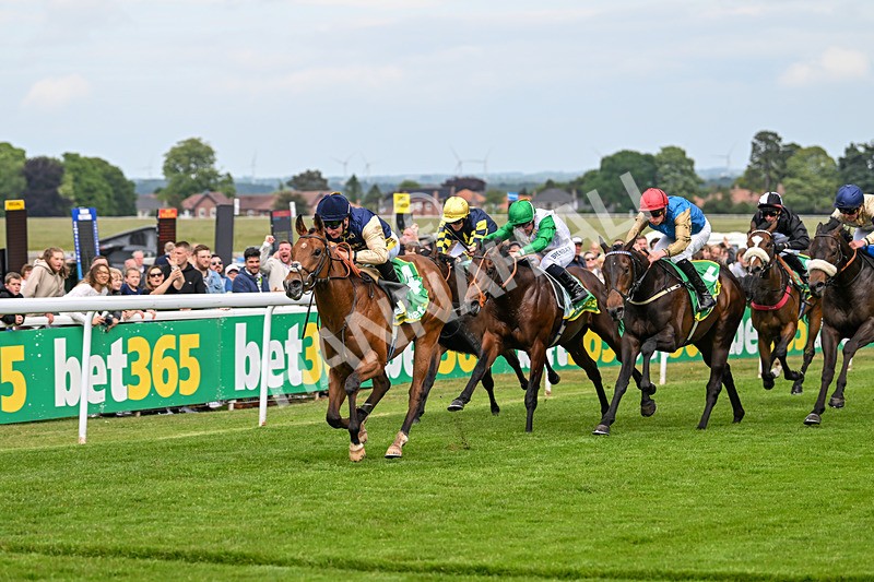 240525-Race 3-Old Is Gold-0890 - Race 3