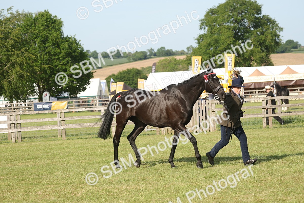 SBM_10364 - Class 33-38 - SSADL RIHS Qualifiers