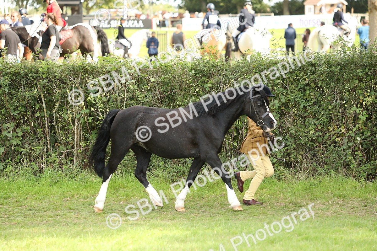 SBM_67735 - S39 - Junior Handler 8  Years & Under