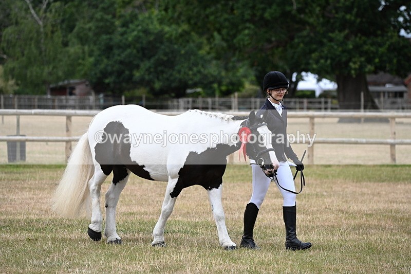 WJ6_4538 - Class 10 Coloured In-hand