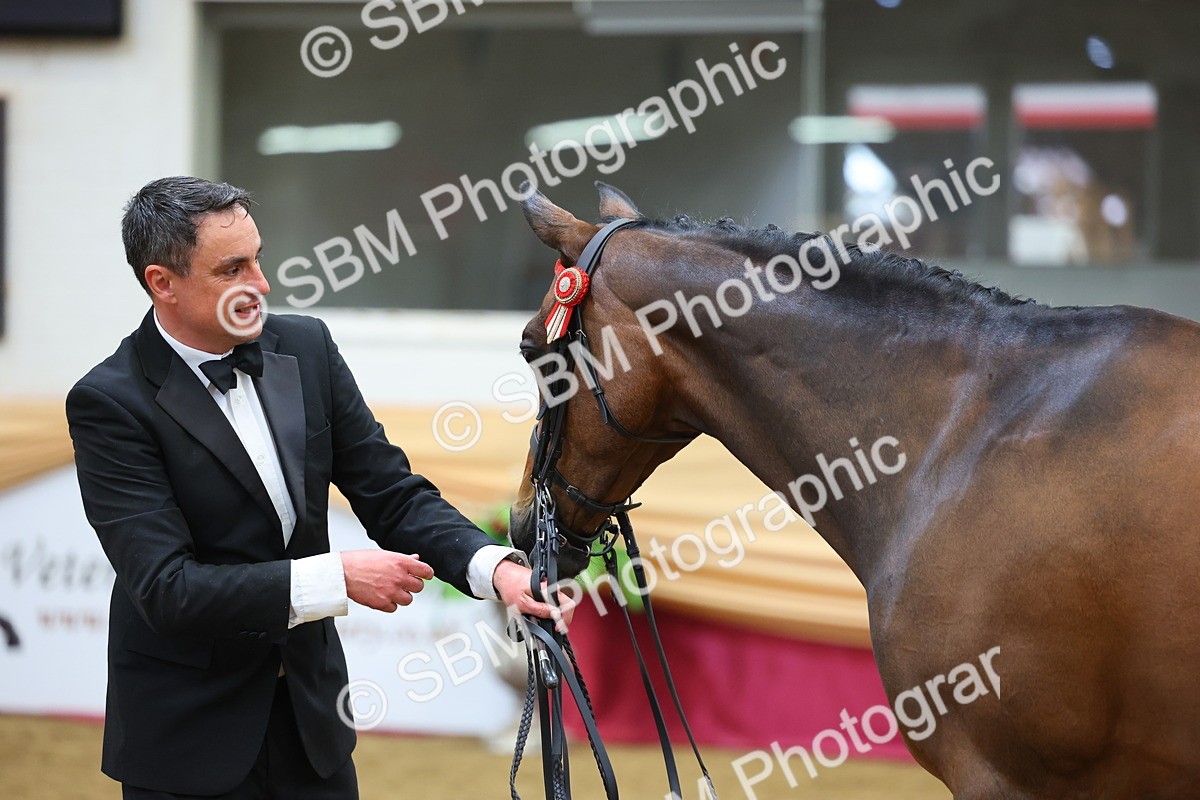 SBM_22716 - Class 903 - Supreme Final - IH Pre Vet