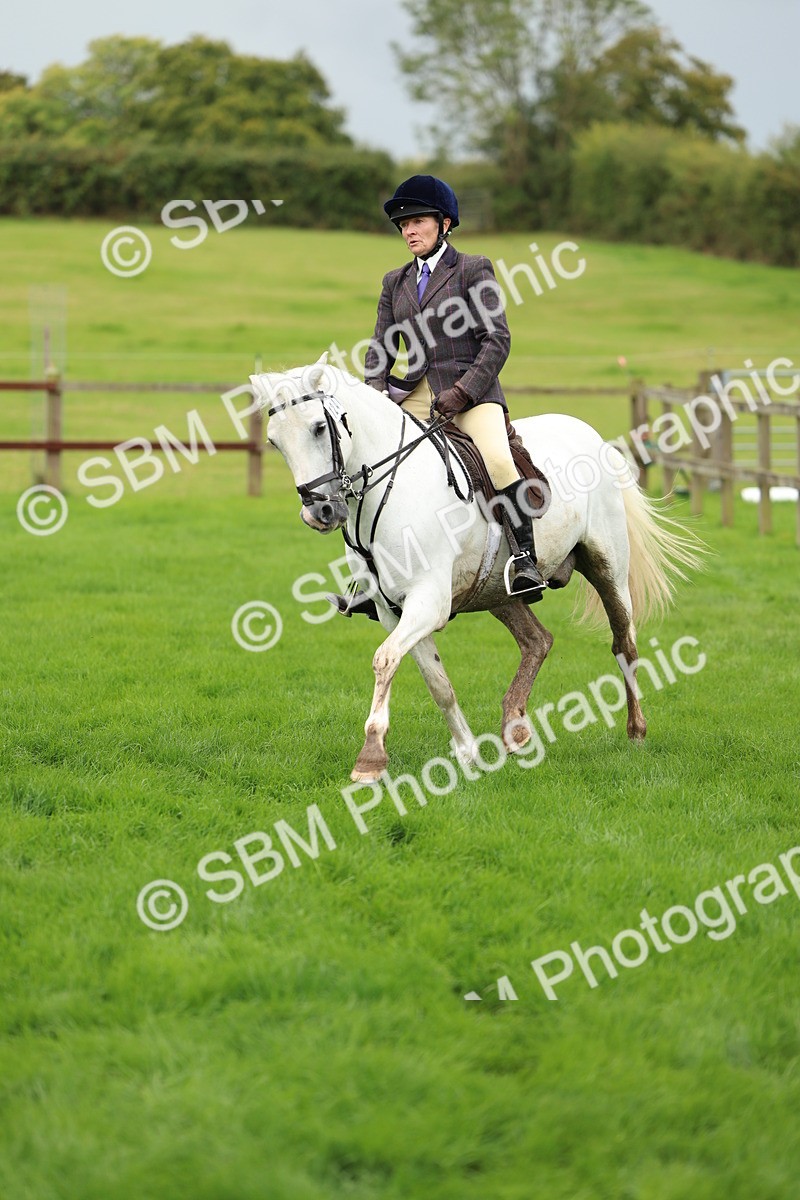 SBM_41827 - S32 - Mountain & Moorland Working Hunter Pony