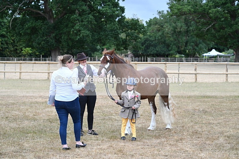 WJ7_9353 - Prettiest Mare Champs