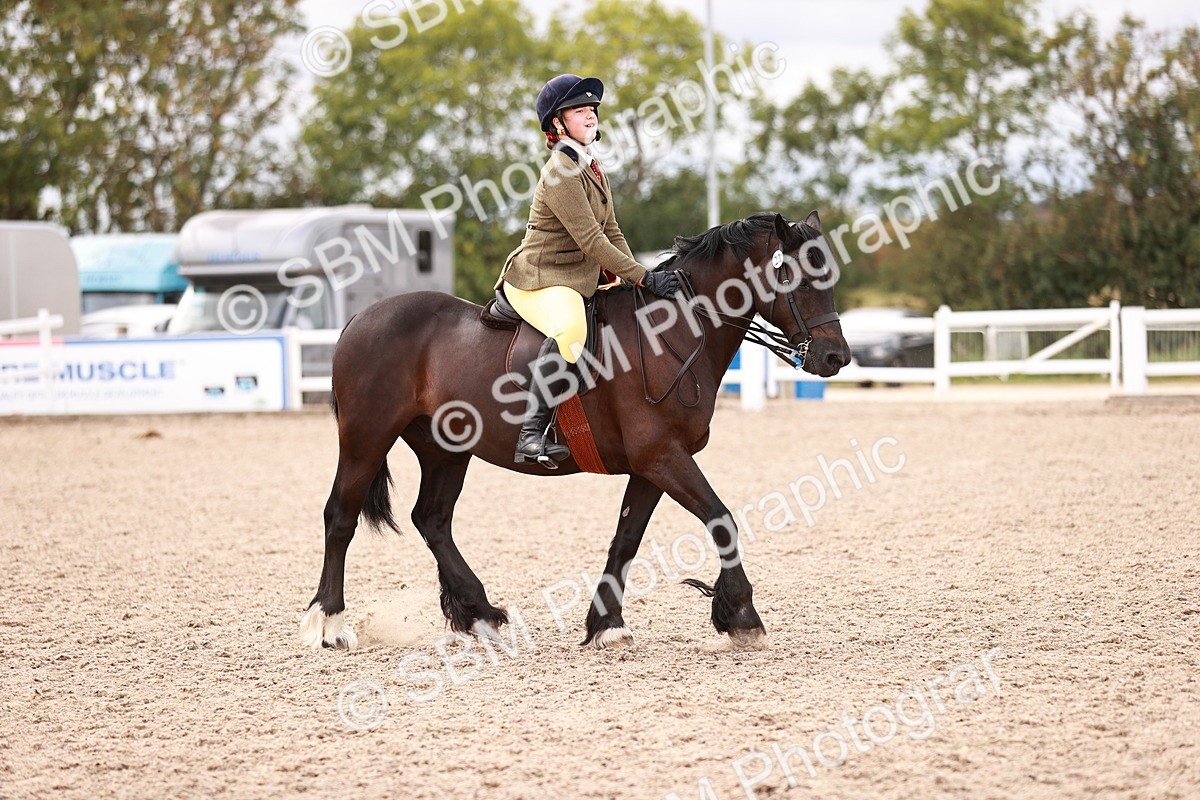 SBM_18416 - Class 418 - Best Condition - Jnr