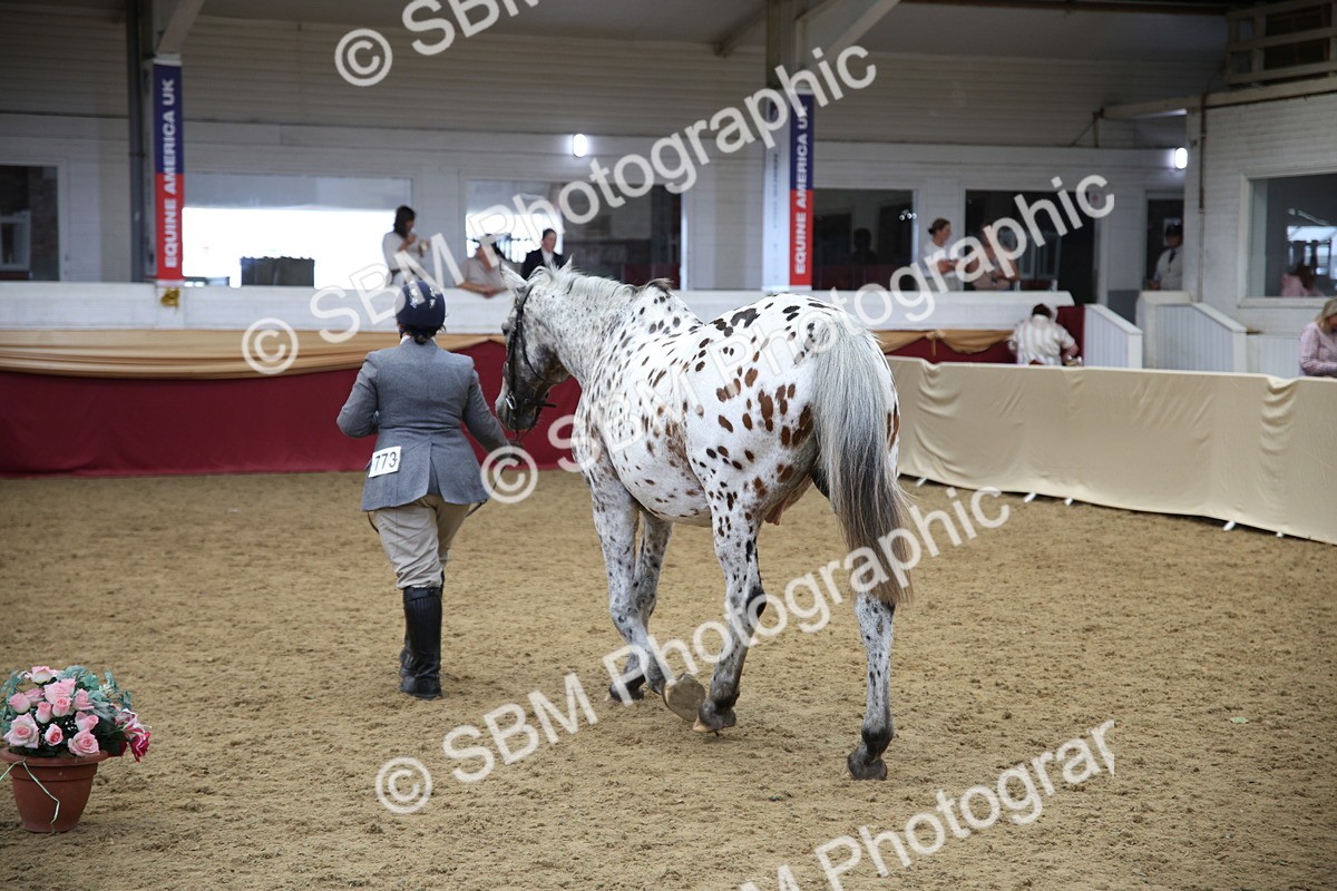SBM_23412 - Class 904 - Supreme Final Ridden Diamond