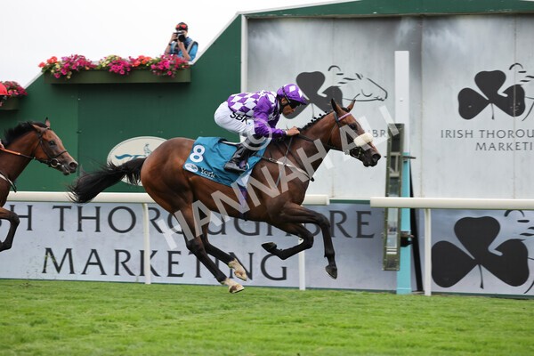 yr22072022r4-34 - Race 4 6.50pm The IRE Incentive It Pays To Buy Irish EBF Restricted Novice Stakes