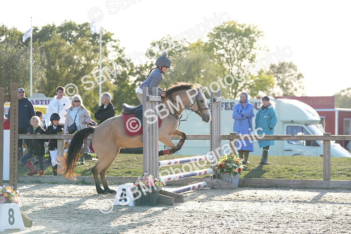 SBM_53881 - J8 - Junior Pony 65cm Championship