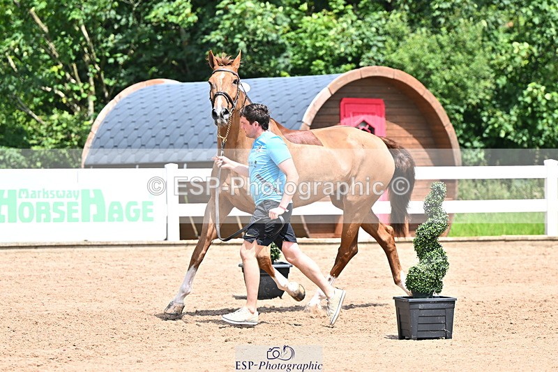 240718A-105303-01499 - Trot Up 12pm to 1pm