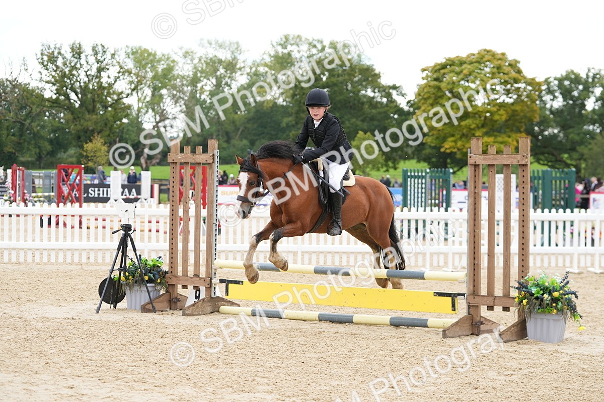 SBM_43435 - J7 - Junior Pony 60cm Championship