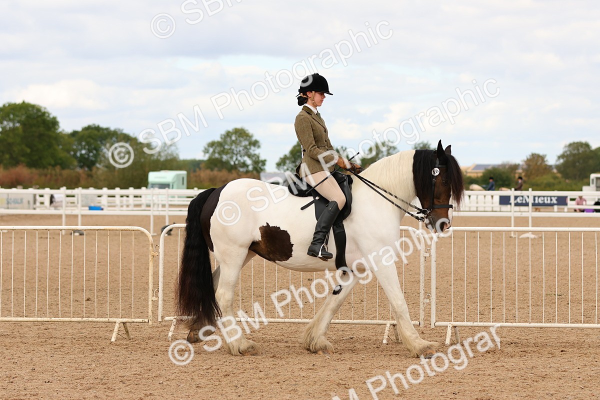 SBM_15643 - Class 215 - Ridden Traditional - Native Cobs