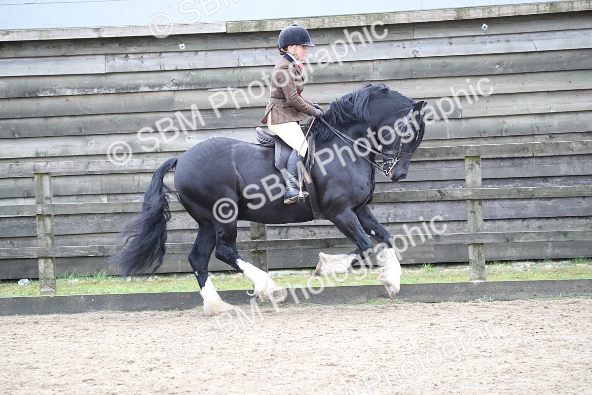 SBM_007073 - Class 10-13 - RIHS Small Large Breeds