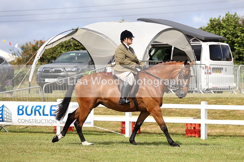 3E7A9313 - Class 4: Rising Star M/H Hunter